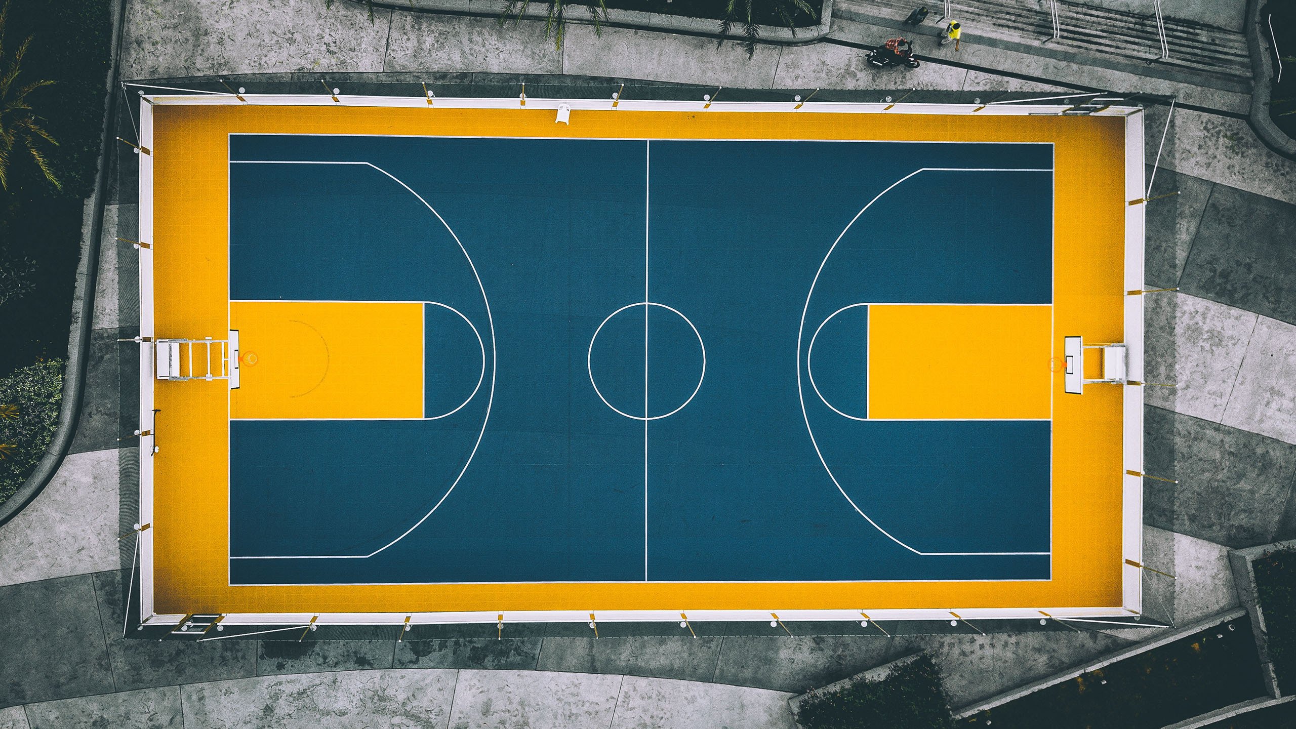 东契奇三赛季巅峰震撼全球,巴塞罗那球迷深夜狂欢,NBA重现黄金年代辉煌